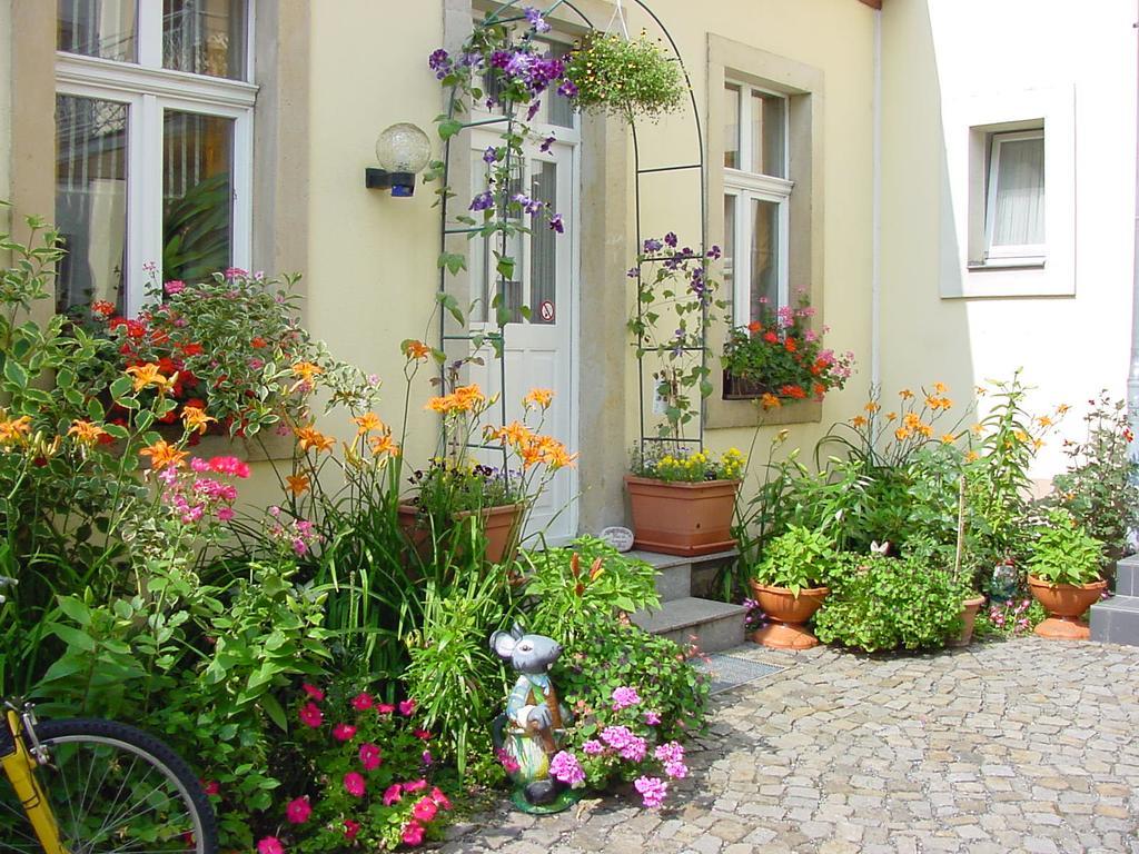 Pension Pieschen Dresden Exterior photo