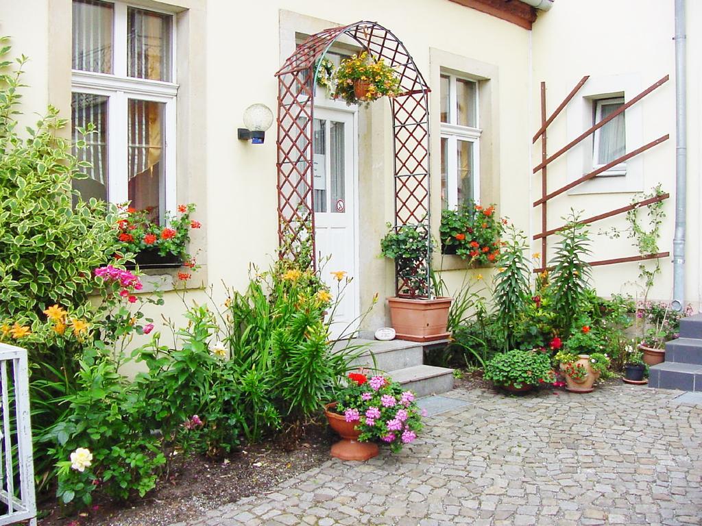 Pension Pieschen Dresden Exterior photo